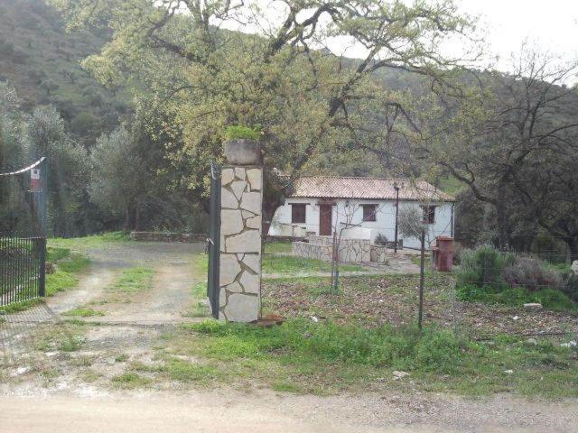 Hotel Enrique Calvillo El Bosque Bilik gambar